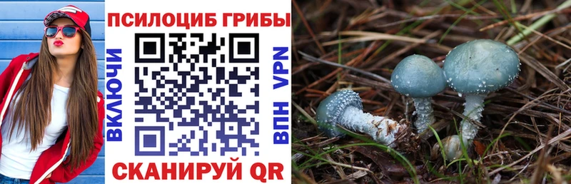 Галлюциногенные грибы Cubensis  Купить где  Тетюши 
